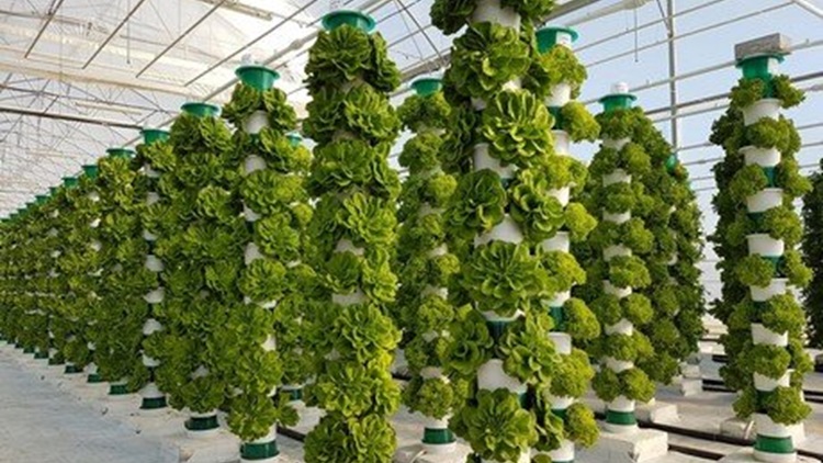 vertcal farming|Bures luces led|bures 1